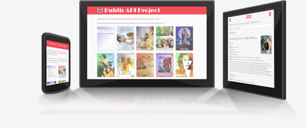 Public API project