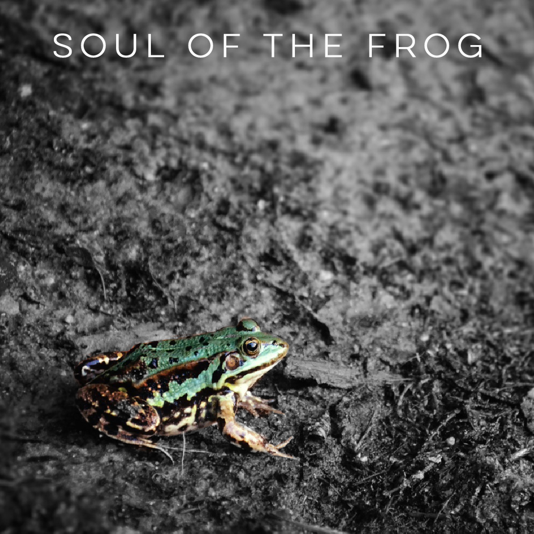New Album: Soul of the Frog
